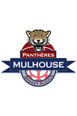 PANTHERES MULHOUSE BASKET ALSACE