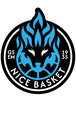 Logo GSE Metropolitains de Nice
