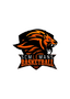 Logo LE MANS SCM