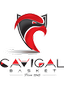 Logo CAVIGAL NICE BASKET 06