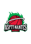 Logo ASPTT NANTES