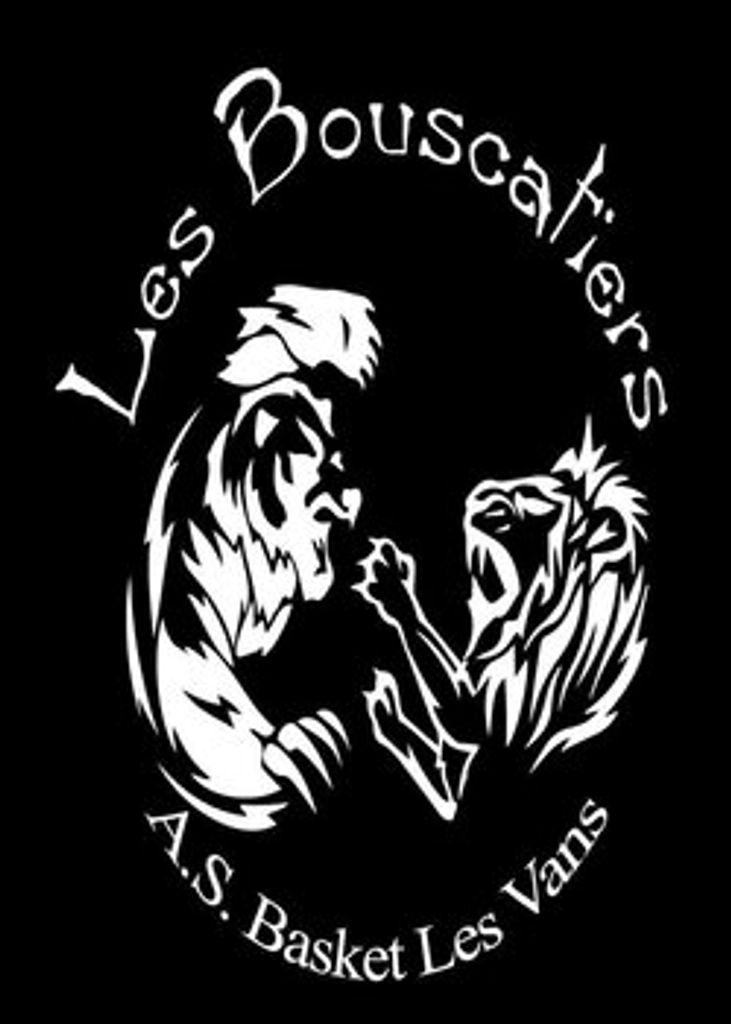 ASSOCIATION BASKET LES VANS