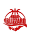 Logo NICE BASKET ASSOCIATION OUEST